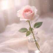 ヒメ日記 2026/04/28 09:18 投稿 一華/Ichika ジュリエット