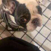 ヒメ日記 2026/02/13 21:03 投稿 冬/Fuyu ジュリエット