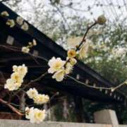 ヒメ日記 2026/02/15 08:24 投稿 月野-つきの MSC 妄想紳士倶楽部 鶯谷店