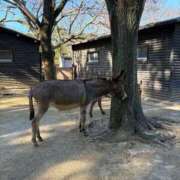 ヒメ日記 2026/02/15 20:57 投稿 五十嵐おとは Aroma The Rich