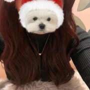 ヒメ日記 2026/01/23 17:17 投稿 永野りり Aroma The Rich