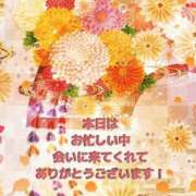 ヒメ日記 2026/01/22 19:37 投稿 傾城ひのわ Aroma The Rich