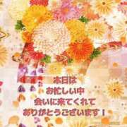 ヒメ日記 2026/01/24 16:17 投稿 傾城ひのわ Aroma The Rich