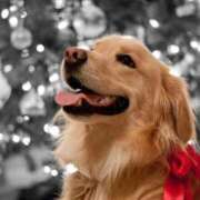 ヒメ日記 2026/01/19 00:17 投稿 葉月めい Aroma The Rich