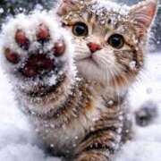 ヒメ日記 2026/01/24 23:47 投稿 葉月めい Aroma The Rich