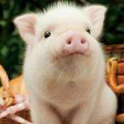 ヒメ日記 2026/02/05 01:17 投稿 葉月めい Aroma The Rich