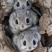 ヒメ日記 2026/02/06 04:07 投稿 葉月めい Aroma The Rich