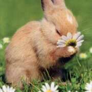 ヒメ日記 2026/02/09 17:07 投稿 葉月めい Aroma The Rich