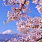 ヒメ日記 2026/02/23 04:17 投稿 葉月めい Aroma The Rich