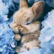 ヒメ日記 2026/03/01 09:57 投稿 葉月めい Aroma The Rich