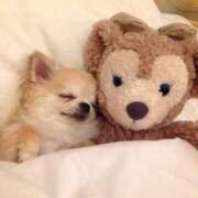 ヒメ日記 2026/03/25 02:37 投稿 葉月めい Aroma The Rich