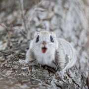 ヒメ日記 2026/03/26 01:17 投稿 葉月めい Aroma The Rich