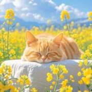 ヒメ日記 2026/04/12 17:34 投稿 葉月めい Aroma The Rich