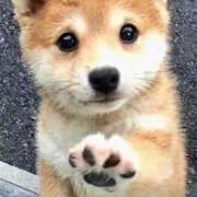 ヒメ日記 2026/04/15 03:07 投稿 葉月めい Aroma The Rich