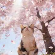 ヒメ日記 2026/04/16 04:47 投稿 葉月めい Aroma The Rich