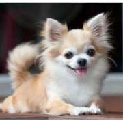 ヒメ日記 2026/04/28 00:47 投稿 葉月めい Aroma The Rich