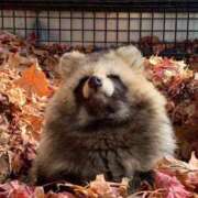 ヒメ日記 2026/04/28 01:27 投稿 葉月めい Aroma The Rich