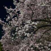 ヒメ日記 2026/03/05 21:40 投稿 ひかり★超甘えん坊なエロ彼女★ Chloe鶯谷・上野店 S級素人清楚系デリヘル