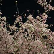 ヒメ日記 2026/03/20 02:03 投稿 ひかり★超甘えん坊なエロ彼女★ Chloe鶯谷・上野店 S級素人清楚系デリヘル