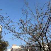 ヒメ日記 2026/03/23 21:53 投稿 桃瀬ひなの Aroma The Rich