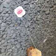 ヒメ日記 2026/01/31 11:43 投稿 まなみ 松戸角海老岩瀬店