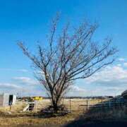 ヒメ日記 2026/02/09 07:43 投稿 まなみ 松戸角海老岩瀬店