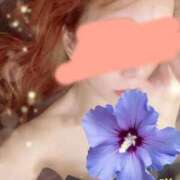 ヒメ日記 2026/02/15 19:33 投稿 まなみ 松戸角海老岩瀬店