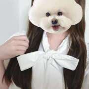 桜井つぼみ 今日も…！ Aroma The Rich