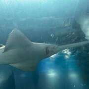 ヒメ日記 2026/02/21 10:37 投稿 蘭 Grace東京