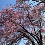 蘭 💛ベタですが… Grace東京