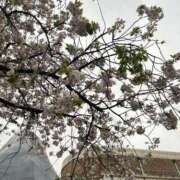 蘭 💛作りました！ Grace東京