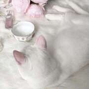 ヒメ日記 2026/03/01 00:21 投稿 しの CLUBどこでもドア