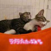 ヒメ日記 2026/02/16 14:35 投稿 ゆめ 熟女家 ミナミエリア店