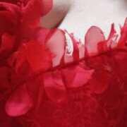 ヒメ日記 2026/03/21 09:40 投稿 ゆめ 熟女家 ミナミエリア店