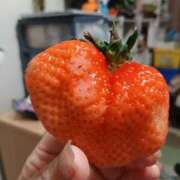 ヒメ日記 2026/04/06 20:26 投稿 ゆめ 熟女家 ミナミエリア店