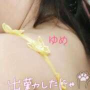 ヒメ日記 2026/05/21 15:35 投稿 ゆめ 熟女家 ミナミエリア店
