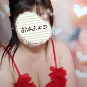 ヒメ日記 2026/08/18 07:45 投稿 ゆめ 熟女家 ミナミエリア店