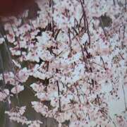 ヒメ日記 2026/03/28 15:31 投稿 りょう 熟女の風俗最終章 宇都宮店