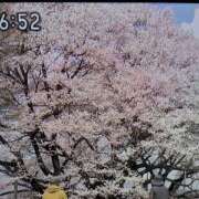 ヒメ日記 2026/03/29 11:11 投稿 りょう 熟女の風俗最終章 宇都宮店