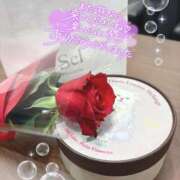 ヒメ日記 2026/04/03 12:03 投稿 三浦 玲奈 Canx2 谷九日本橋店