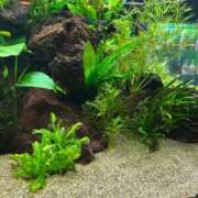 ヒメ日記 2026/02/11 21:04 投稿 春風ゆき デリス新宿