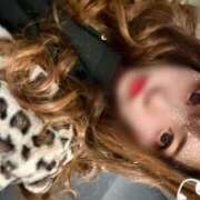 あさき こんばんわん ミセスサマンサ