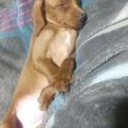 える お休みします 即アポ奥さん～静岡店～