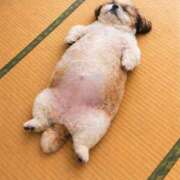 ヒメ日記 2026/02/23 04:54 投稿 まなみ 丸妻 厚木店