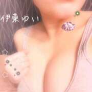 ヒメ日記 2026/04/08 08:48 投稿 伊東　ゆい 川崎南町人妻高級ソープ エル・カーヒル(ELCURHIL)秘密の刻