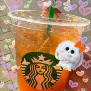 ヒメ日記 2026/02/15 15:41 投稿 一宮　ひかり 魅惑の官能アロマエステ　Eureka！八王子 ～エウレカ！～