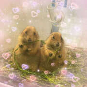 ヒメ日記 2026/02/15 20:26 投稿 一宮　ひかり 魅惑の官能アロマエステ　Eureka！八王子 ～エウレカ！～