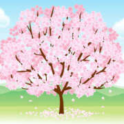 ヒメ日記 2026/04/02 18:49 投稿 一宮　ひかり 魅惑の官能アロマエステ　Eureka！八王子 ～エウレカ！～