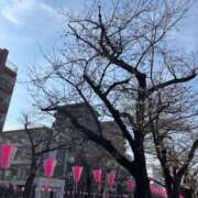 ヒメ日記 2026/03/28 14:37 投稿 朝倉 咲(さき) 東京不倫 渋谷店