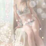 ヒメ日記 2026/04/09 11:56 投稿 石高千晶 五十路マダム愛されたい熟女たち 福山店(カサブランカグループ)